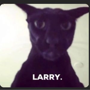 Meet your Posher, Clark